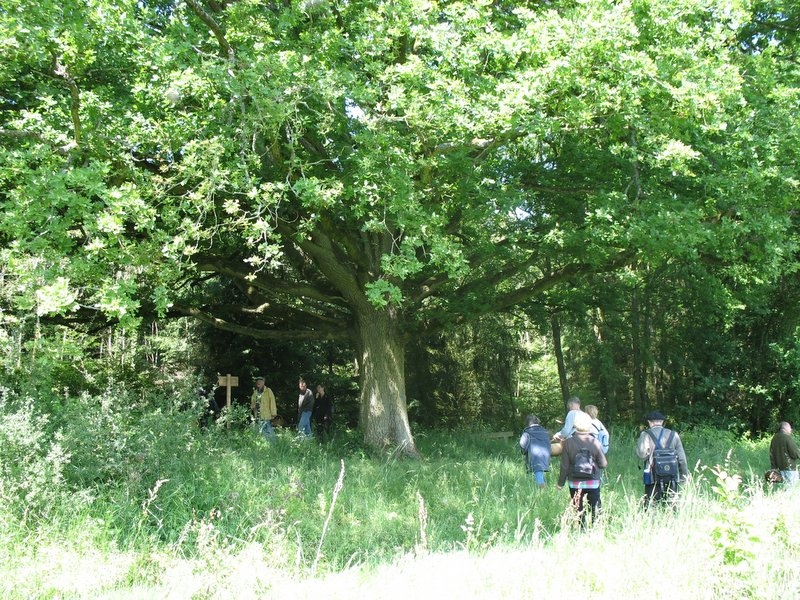 2006 myco ANY CERF 3.06.06 036